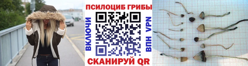 Галлюциногенные грибы мицелий  Куртамыш 
